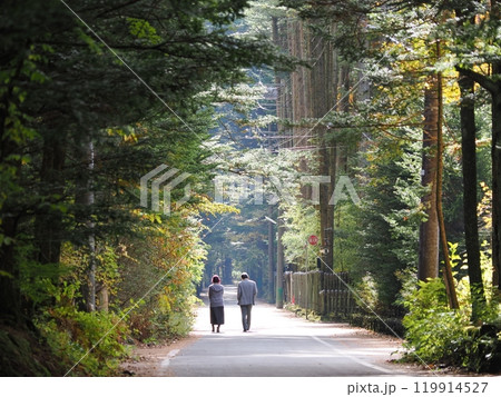 旧軽井沢を散歩するシニア夫婦 119914527