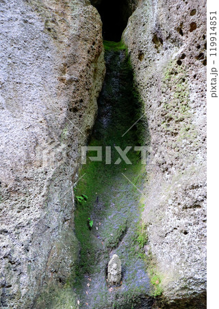 亀裂の中の仏像（縦） 119914851