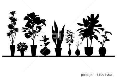 観葉植物デザイン素材 観葉植物デザイン素材 119915081