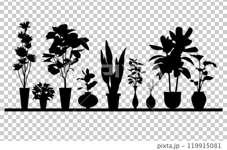 室內植物設計材料 119915081