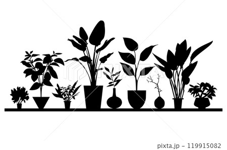 観葉植物イラスト素材 119915082