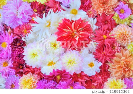 日本の伝統美が詰まった花手水 - 鮮やかな花々と清らかな水 119915362