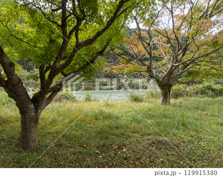 美山町を流れる由良川沿いの景色 119915380