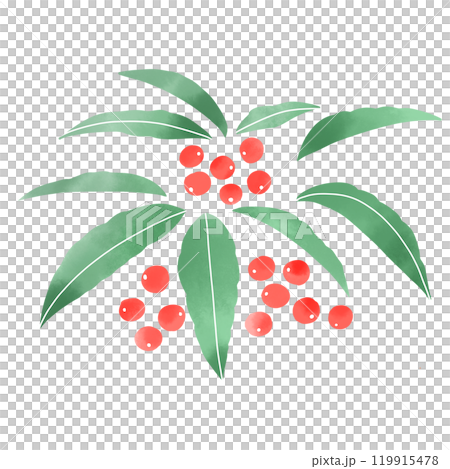 Watercolor style simple illustration of a Manryo 119915478