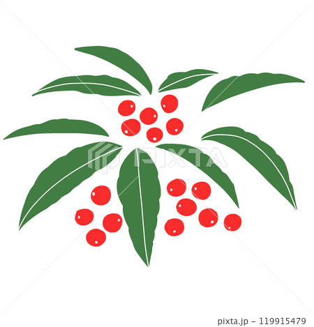 万両のシンプルなイラスト 119915479