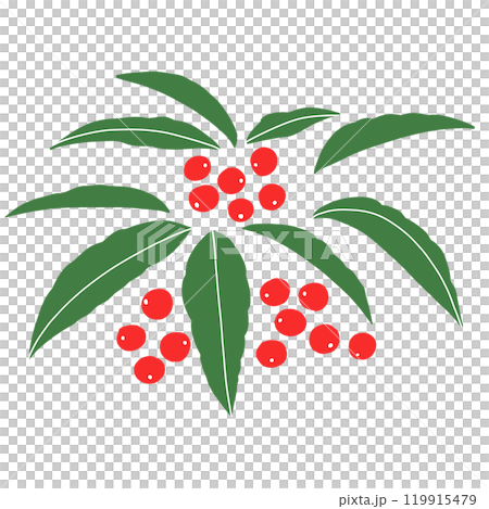 万両のシンプルなイラスト 119915479