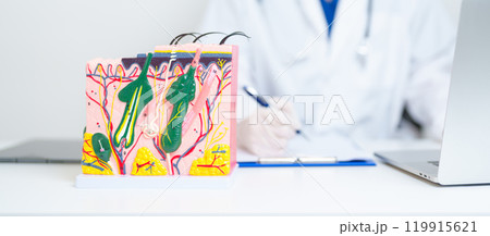 Dermatologist with anatomy model of human skin with hair. Doctor show structure of Skin, Skin disease and Hair loss. Health care, Dermatology treatment, Cosmetic surgery and Beauty consultation clinic Dermatologist with anatomy model of human skin with hair. Doctor show structure of Skin, Skin disease and Hair loss. Health care, Dermatology treatment, Cosmetic surgery and Beauty consultation clinic 119915621