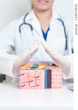 Dermatologist hand cover on anatomy model of human skin with hair. Skin disease and Hair loss. Health care, Melanoma and skin cancer, Insurance, Dermatology treatment and Beauty consultation clinic Dermatologist hand cover on anatomy model of human skin with hair. Skin disease and Hair loss. Health care, Melanoma and skin cancer, Insurance, Dermatology treatment and Beauty consultation clinic 119915641