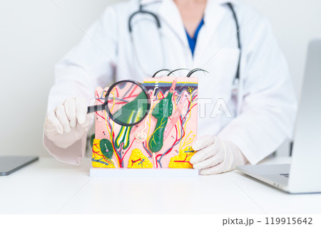 Dermatologist with magnifying glass anatomy of human skin with hair. Skin disease and Hair loss. Health care, Melanoma and skin cancer, Insurance, Dermatology treatment and Beauty consultation clinic Dermatologist with magnifying glass anatomy of human skin with hair. Skin disease and Hair loss. Health care, Melanoma and skin cancer, Insurance, Dermatology treatment and Beauty consultation clinic 119915642