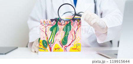 Dermatologist with magnifying glass anatomy of human skin with hair. Skin disease and Hair loss. Health care, Melanoma and skin cancer, Insurance, Dermatology treatment and Beauty consultation clinic Dermatologist with magnifying glass anatomy of human skin with hair. Skin disease and Hair loss. Health care, Melanoma and skin cancer, Insurance, Dermatology treatment and Beauty consultation clinic 119915644