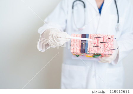 Dermatologist hand holding anatomy model of human skin with hair. Skin disease and Hair loss. Health care, Melanoma and skin cancer, Insurance, Dermatology treatment and Beauty consultation clinic Dermatologist hand holding anatomy model of human skin with hair. Skin disease and Hair loss. Health care, Melanoma and skin cancer, Insurance, Dermatology treatment and Beauty consultation clinic 119915651
