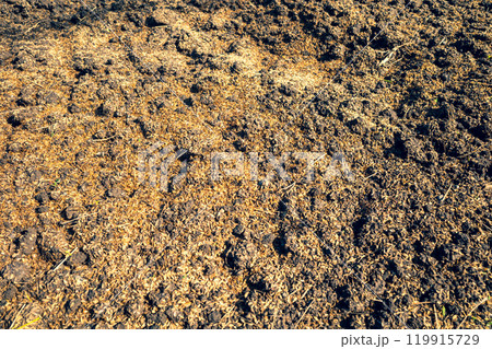 もみ殻をまいた耕された畑　b-3 暖色寒色強調 119915729