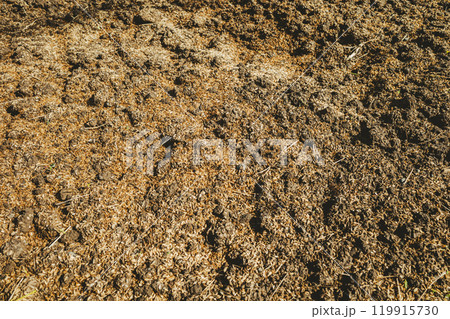 もみ殻をまいた耕された畑 b-4 フィルム調 もみ殻をまいた耕された畑 b-4 フィルム調 119915730