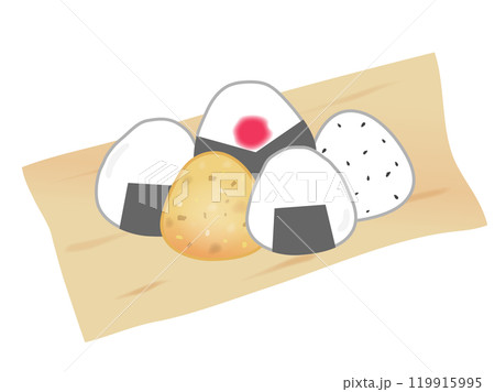 色々なおにぎりのイラスト 119915995