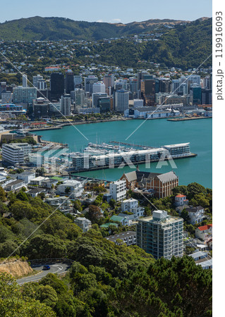 ニュージーランド　ウェリントンにあるマウント・ビクトリアからみえる市街地と港 119916093