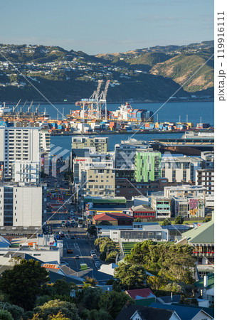 ニュージーランド ウェリントンのプリンス・オブ・ウェールズ公園からの見える市街地と港 ニュージーランド ウェリントンのプリンス・オブ・ウェールズ公園からの見える市街地と港 119916111