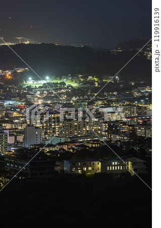 ニュージーランド　ウェリントンにあるステリン記念公園からみえる市街地と港の夜景 119916139