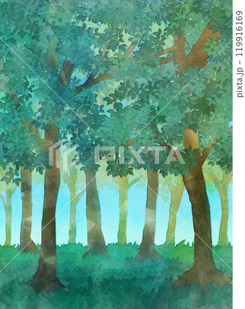 緑豊かな森 水彩風 風景イラスト のイラスト素材 [119916169] - PIXTA