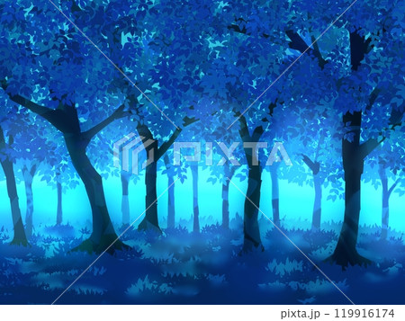 青い夜の森　風景イラスト 119916174