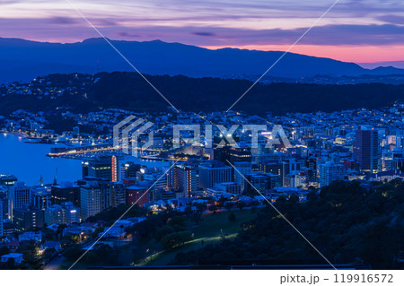 ニュージーランド ウェリントンにあるステリン記念公園からみえる市街地と港の早朝の風景 ニュージーランド ウェリントンにあるステリン記念公園からみえる市街地と港の早朝の風景 119916572