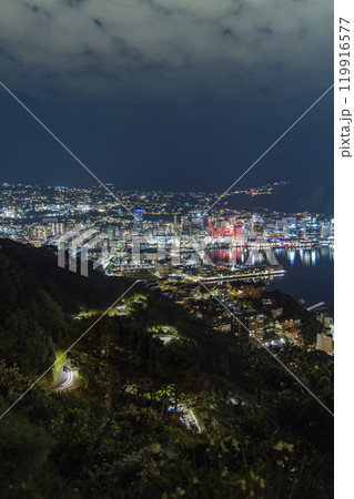 ニュージーランド　ウェリントンのマウント・ビクトリアからの見える港の夜景 119916577