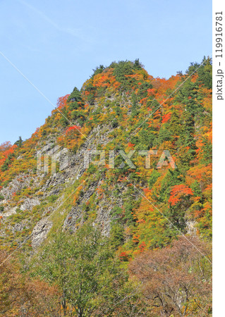 秋山郷　錦秋の布岩山 119916781