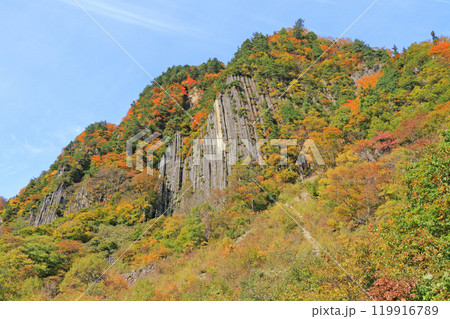 秋山郷　錦秋の布岩山 119916789
