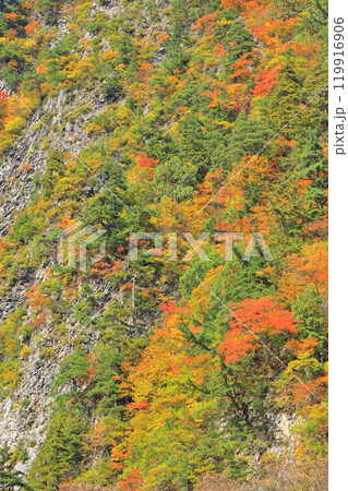 秋山郷 錦秋の布岩 秋山郷 錦秋の布岩 119916906