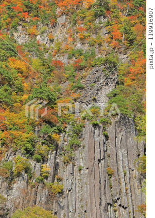 秋山郷 錦秋の布岩 秋山郷 錦秋の布岩 119916907