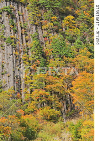 秋山郷　錦秋の布岩 119916910