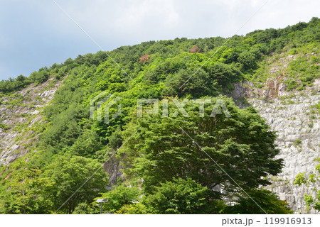 あぶくま洞一帯の景色　＃31 119916913