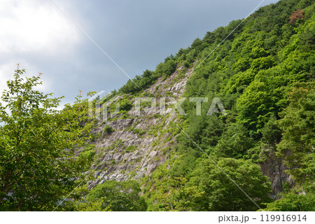 あぶくま洞一帯の景色　＃32 119916914