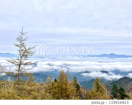 秋の雲海の情景_美ヶ原高原 秋の雲海の情景_美ヶ原高原 119916923