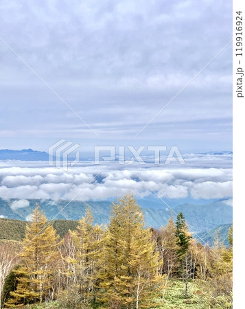 秋の雲海の情景_美ヶ原高原 秋の雲海の情景_美ヶ原高原 119916924