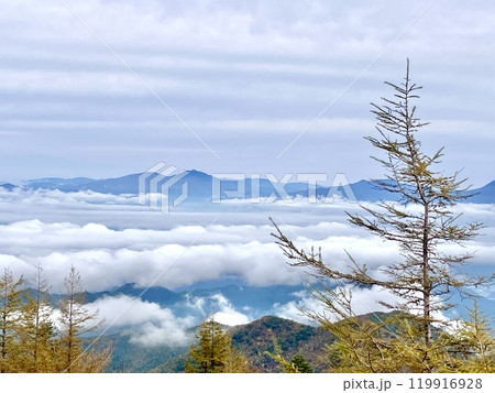 秋の雲海の情景_美ヶ原高原 秋の雲海の情景_美ヶ原高原 119916928