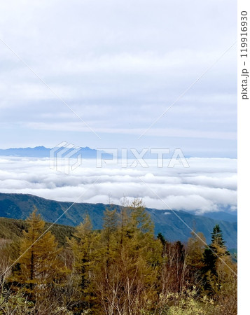 秋の雲海の情景_美ヶ原高原 秋の雲海の情景_美ヶ原高原 119916930