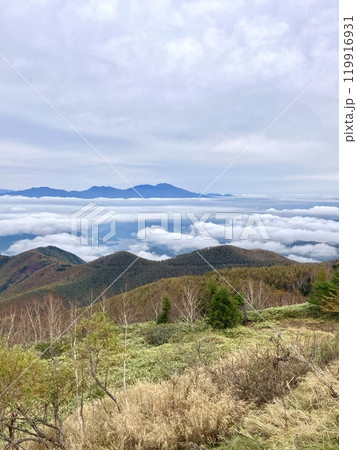 秋の雲海の情景_美ヶ原高原 秋の雲海の情景_美ヶ原高原 119916931