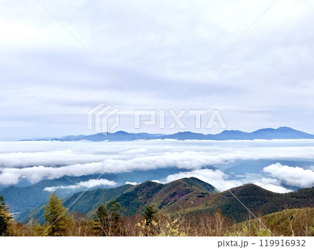 秋の雲海の情景_美ヶ原高原 秋の雲海の情景_美ヶ原高原 119916932