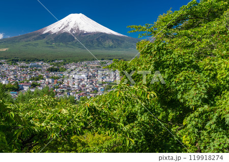 《山梨県》初夏大冠雪の富士山・新緑の新倉山浅間公園 119918274