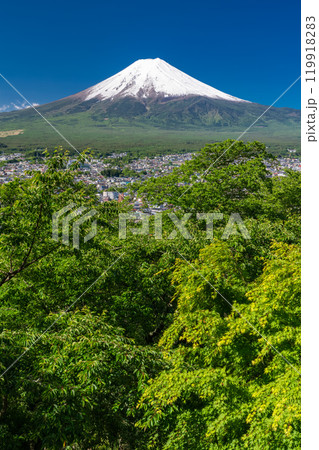 《山梨県》初夏大冠雪の富士山・新緑の新倉山浅間公園 119918283