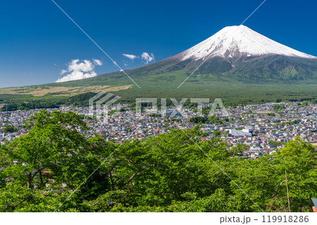 《山梨県》初夏大冠雪の富士山・新緑の新倉山浅間公園 119918286