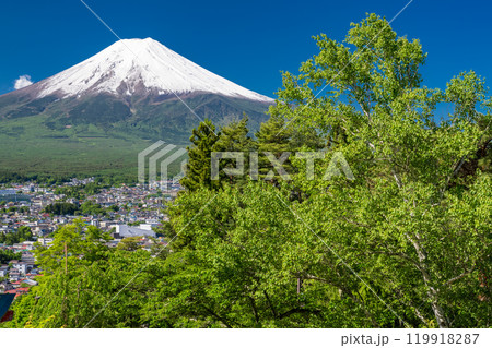 《山梨県》初夏大冠雪の富士山・新緑の新倉山浅間公園 119918287