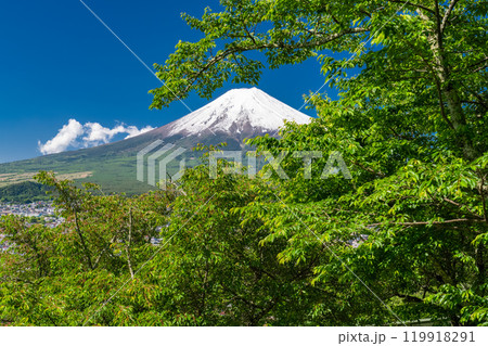 《山梨県》初夏大冠雪の富士山・新緑の新倉山浅間公園 119918291
