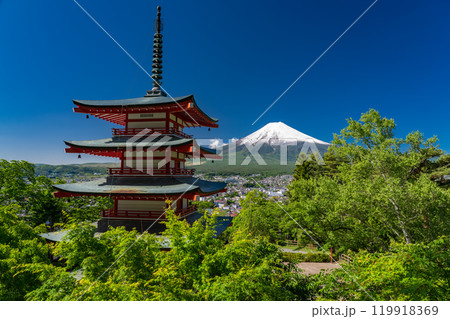 《山梨県》初夏大冠雪の富士山・新緑の新倉山浅間公園 119918369