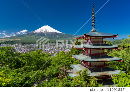 《山梨県》初夏大冠雪の富士山・新緑の新倉山浅間公園 《山梨県》初夏大冠雪の富士山・新緑の新倉山浅間公園 119918374