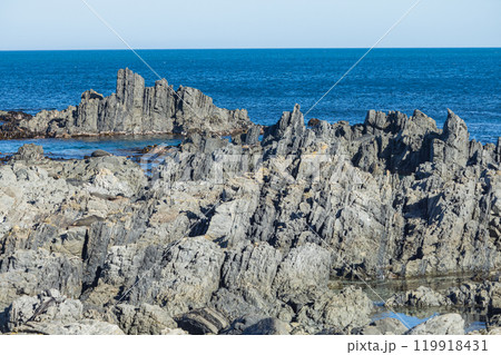 ニュージーランド ウェリントンのレッド・ロックスの風景 ニュージーランド ウェリントンのレッド・ロックスの風景 119918431