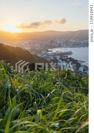 ニュージーランド　ウェリントンにあるマウント・ビクトリアからみえる市街地と夕日 119918443