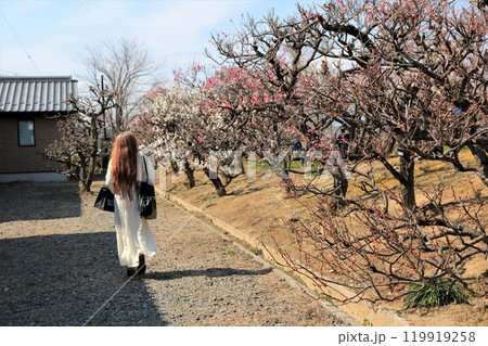 梅林散策・28(岐阜県安八郡安八町:安八百梅園) 梅林散策・28(岐阜県安八郡安八町:安八百梅園) 119919258