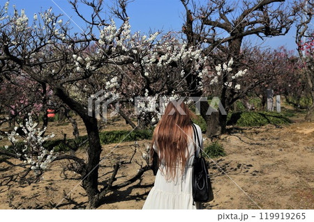 梅林散策・21(岐阜県安八郡安八町:安八百梅園) 梅林散策・21(岐阜県安八郡安八町:安八百梅園) 119919265