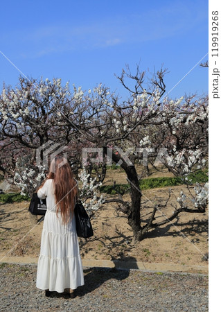 梅林散策・18(岐阜県安八郡安八町:安八百梅園) 梅林散策・18(岐阜県安八郡安八町:安八百梅園) 119919268